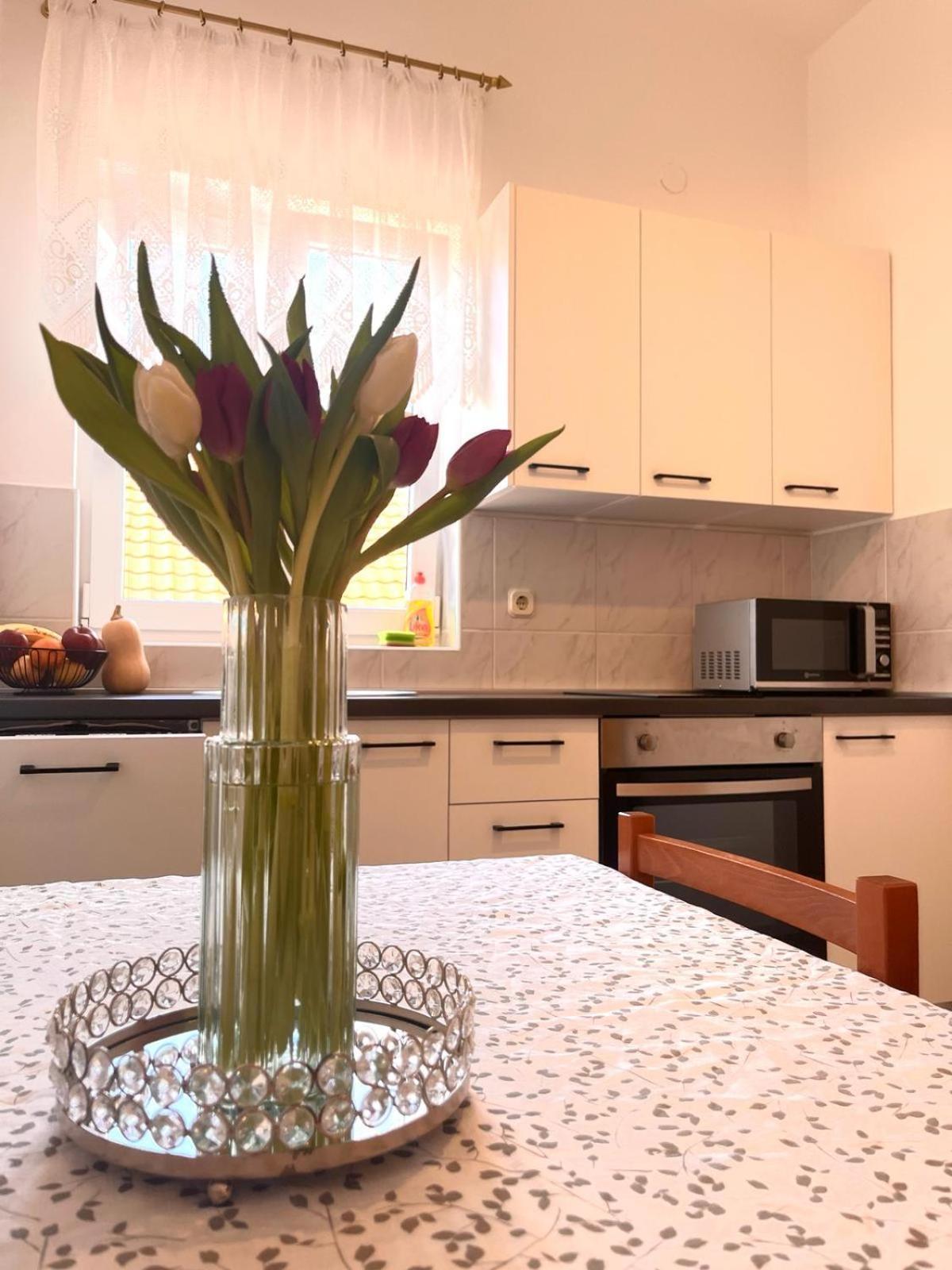 Family Holiday Apartments Lucia 沃迪切 外观 照片